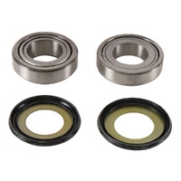 Steering Stem Bearings Seals Kit