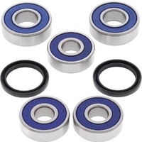 Wheel Bearing Seal Kit Rear