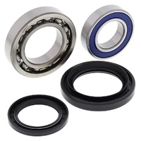 Wheel Bearing Seal Kit Rear