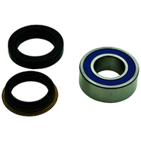 Wheel Bearing Seal Kit Rear