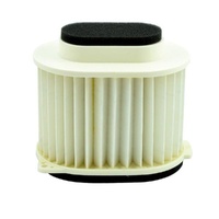 Air Filter OE Replacement