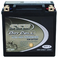 Battery AGM Heavy Duty Drycell