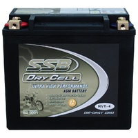 Battery AGM Heavy Duty Drycell