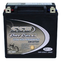 Battery AGM Heavy Duty Drycell