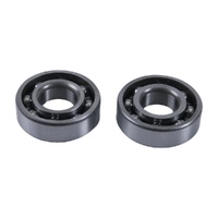 Counter Balancer Bearings Kit