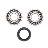 Counter Balancer Bearings Kit