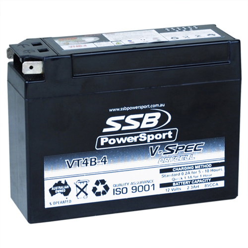 Battery AGM VSPEC Drycell