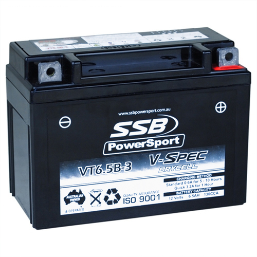 Battery AGM VSPEC Drycell