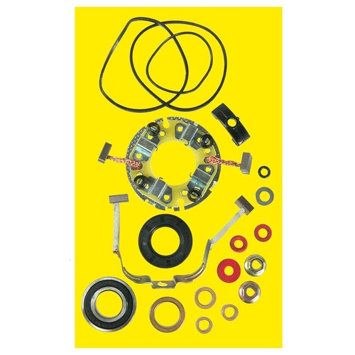 Starter Motor Repair Kit