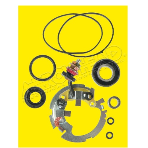 Starter Motor Repair Kit