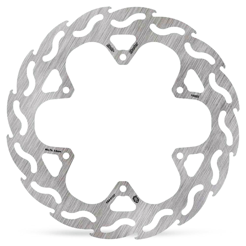 Brake Disc Flame Rear