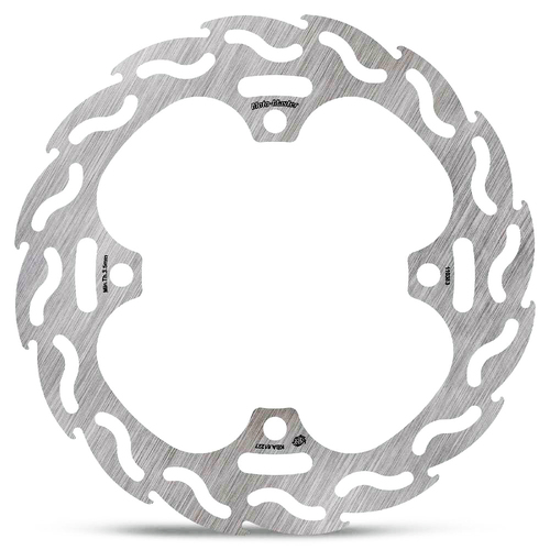 Brake Disc Flame Rear