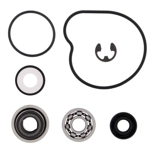 Water Pump Rebuild Kit